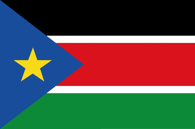 南苏丹国家公司